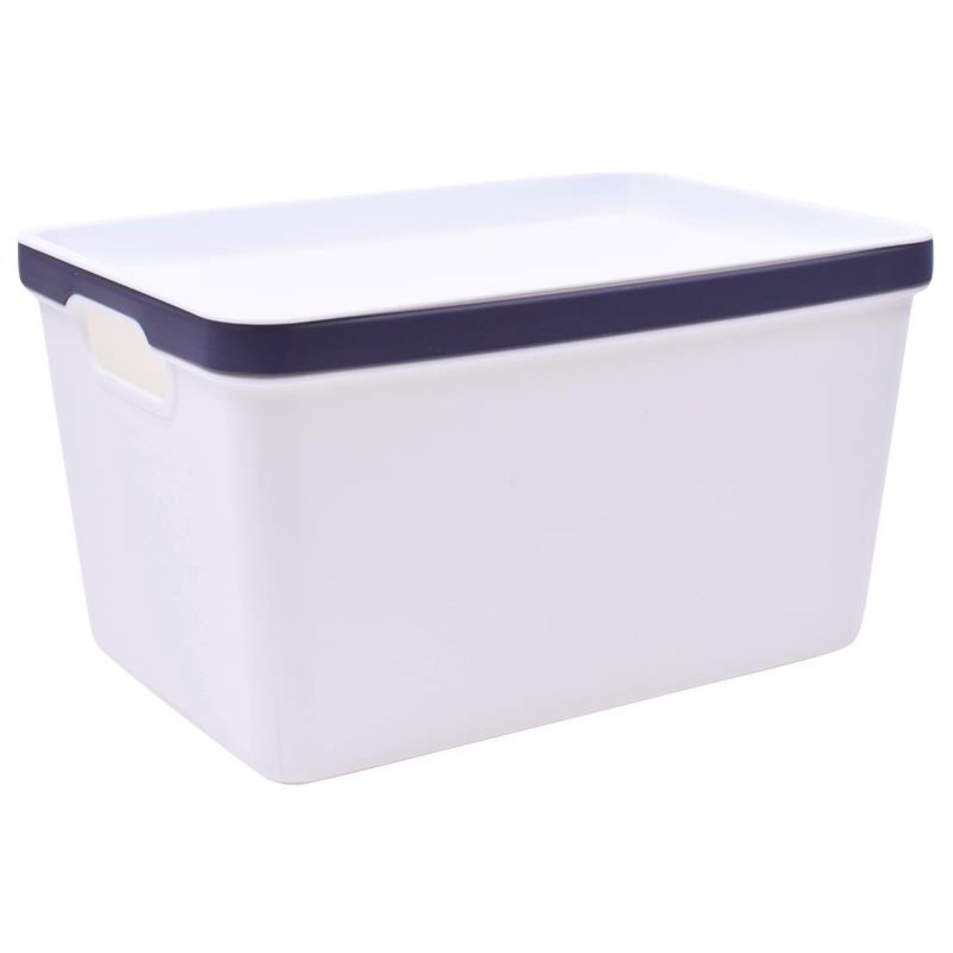 CESTO PLAST C/ASAS 2630-513-02 CX24 CESTO PLAST C/ASAS 2630-513-02 CX24