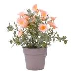 PLANTA C/ VASO 2440-018 CX144