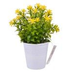 PLANTA C/ VASO 2647-004 CX144 PLANTA C/ VASO 2647-004 CX144