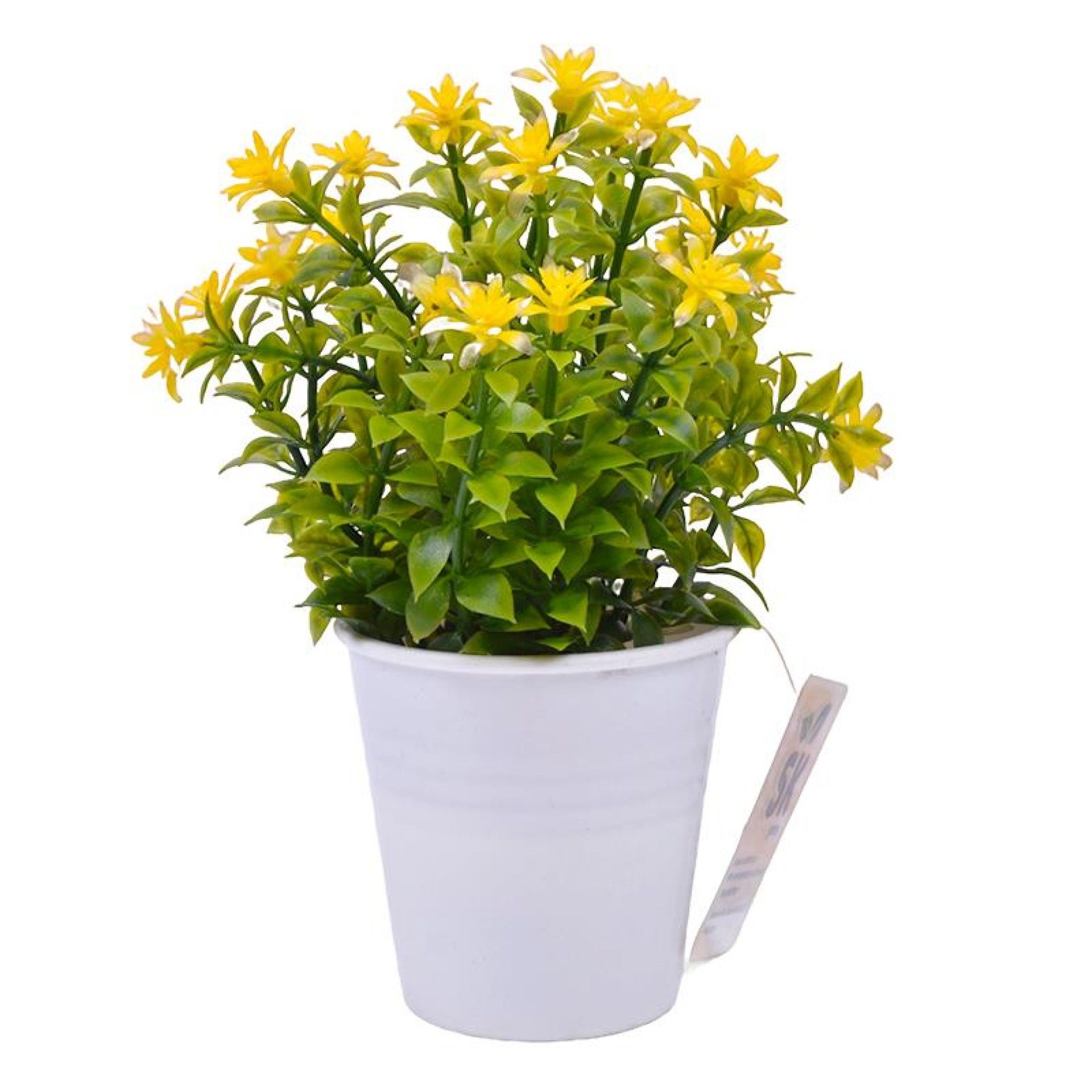 PLANTA C/ VASO 2647-004 CX144 PLANTA C/ VASO 2647-004 CX144