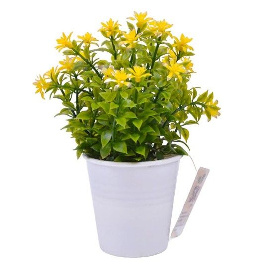 PLANTA C/ VASO 2647-004 CX144 PLANTA C/ VASO 2647-004 CX144
