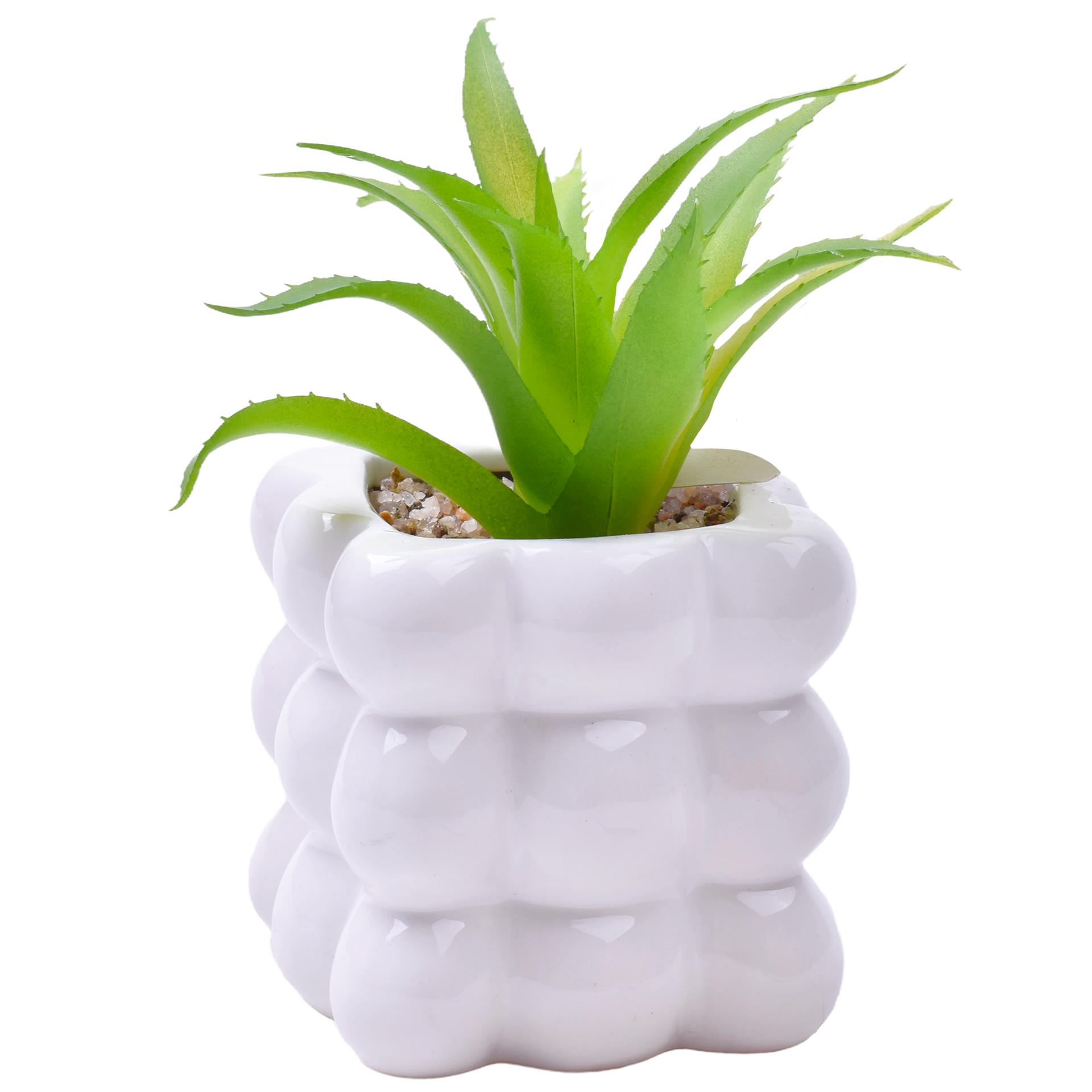 PLANTA C/VASO 8X8X8CM 2884-008-01 CX96 PLANTA C/VASO 8X8X8CM 2884-008-01 CX96