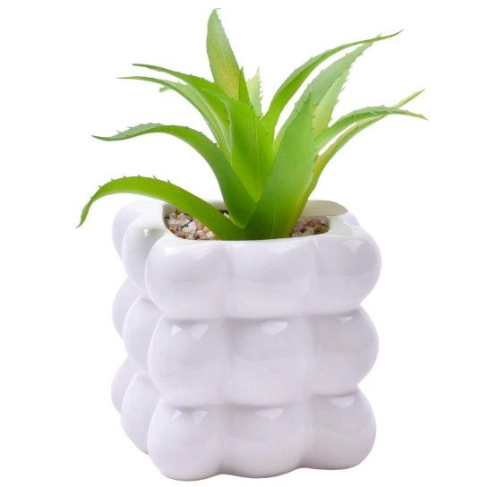PLANTA C/VASO 8X8X8CM 2884-008-01 CX96 PLANTA C/VASO 8X8X8CM 2884-008-01 CX96