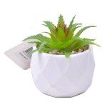 PLANTA C/VASO 6X4,5CM 2884-007 CX192 PLANTA C/VASO 6X4,5CM 2884-007 CX192