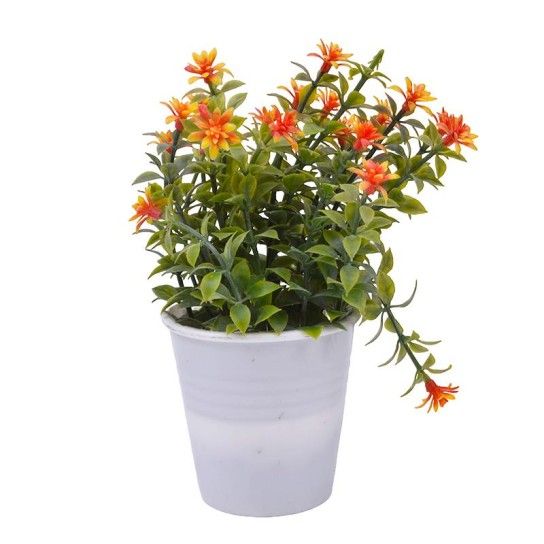 PLANTA C/ VASO 2647-005-01 CX144 PLANTA C/ VASO 2647-005-01 CX144