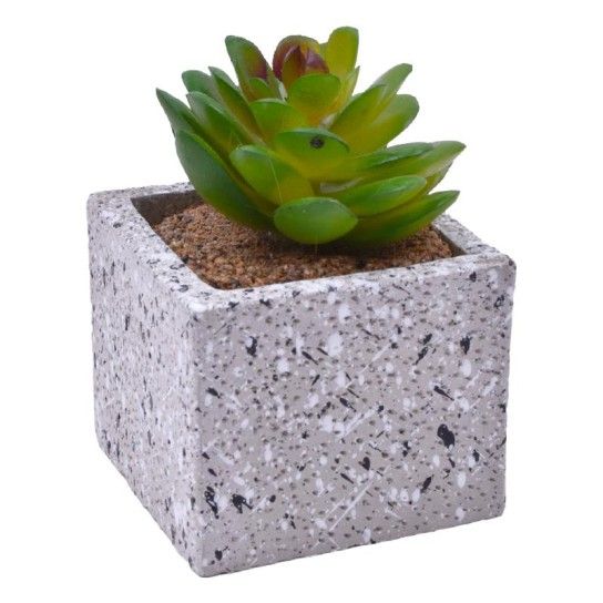 VASO C/CATO 6.4X6.3X5.2CM 2639-205 CX96 VASO C/CATO 6.4X6.3X5.2CM 2639-205 CX96