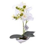 VASO C/FLOR 10X15X33 2439-041 CX36
