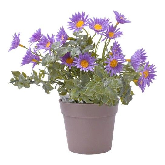 PLANTA C/ VASO 2440-018 CX144 PLANTA C/ VASO 2440-018 CX144