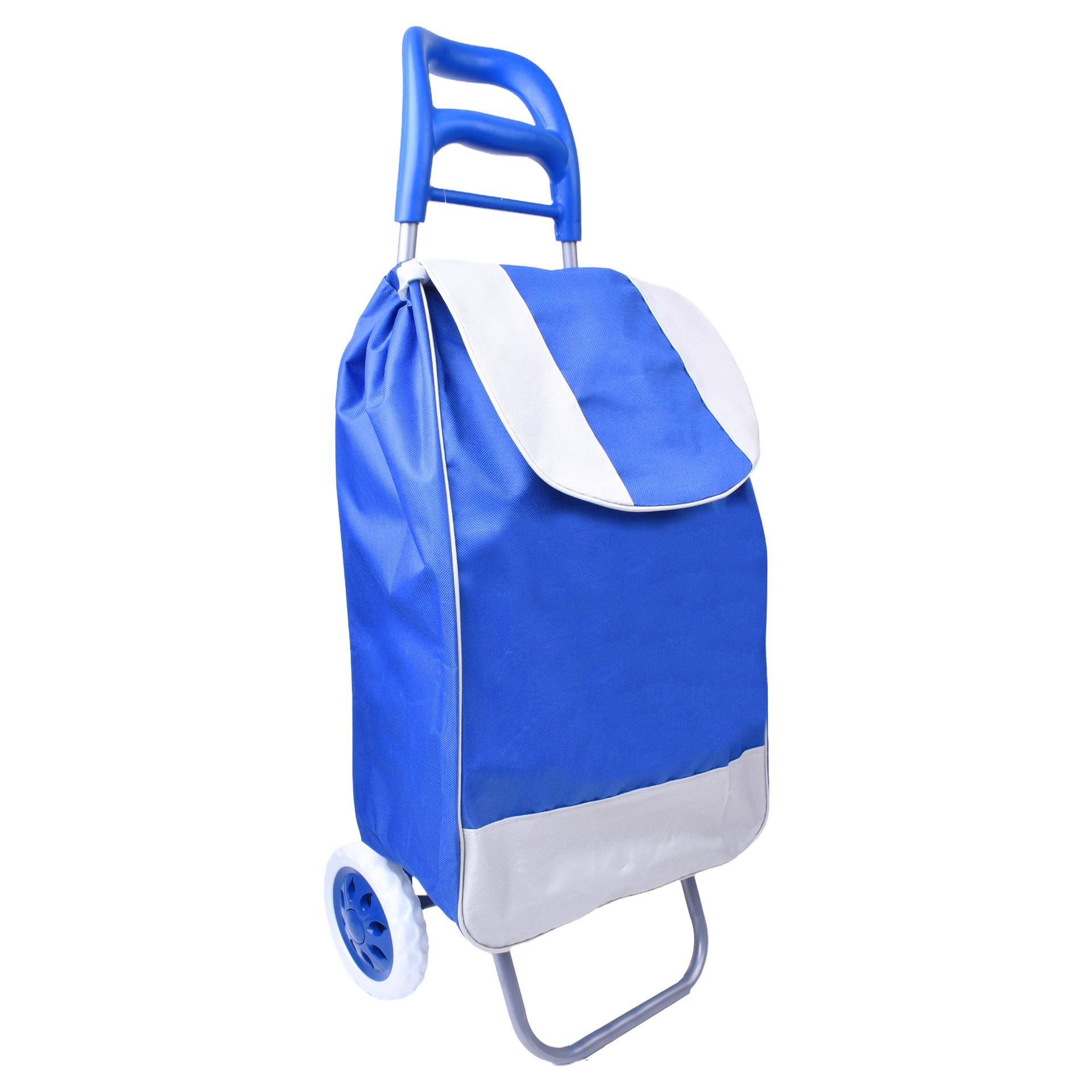 CARRINHO COMPRAS AZUL 560-000-01 CX10 CARRINHO COMPRAS AZUL 560-000-01 CX10