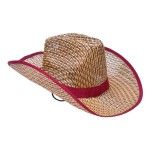 CHAPEU 39X34X13CM 203-145 CX240