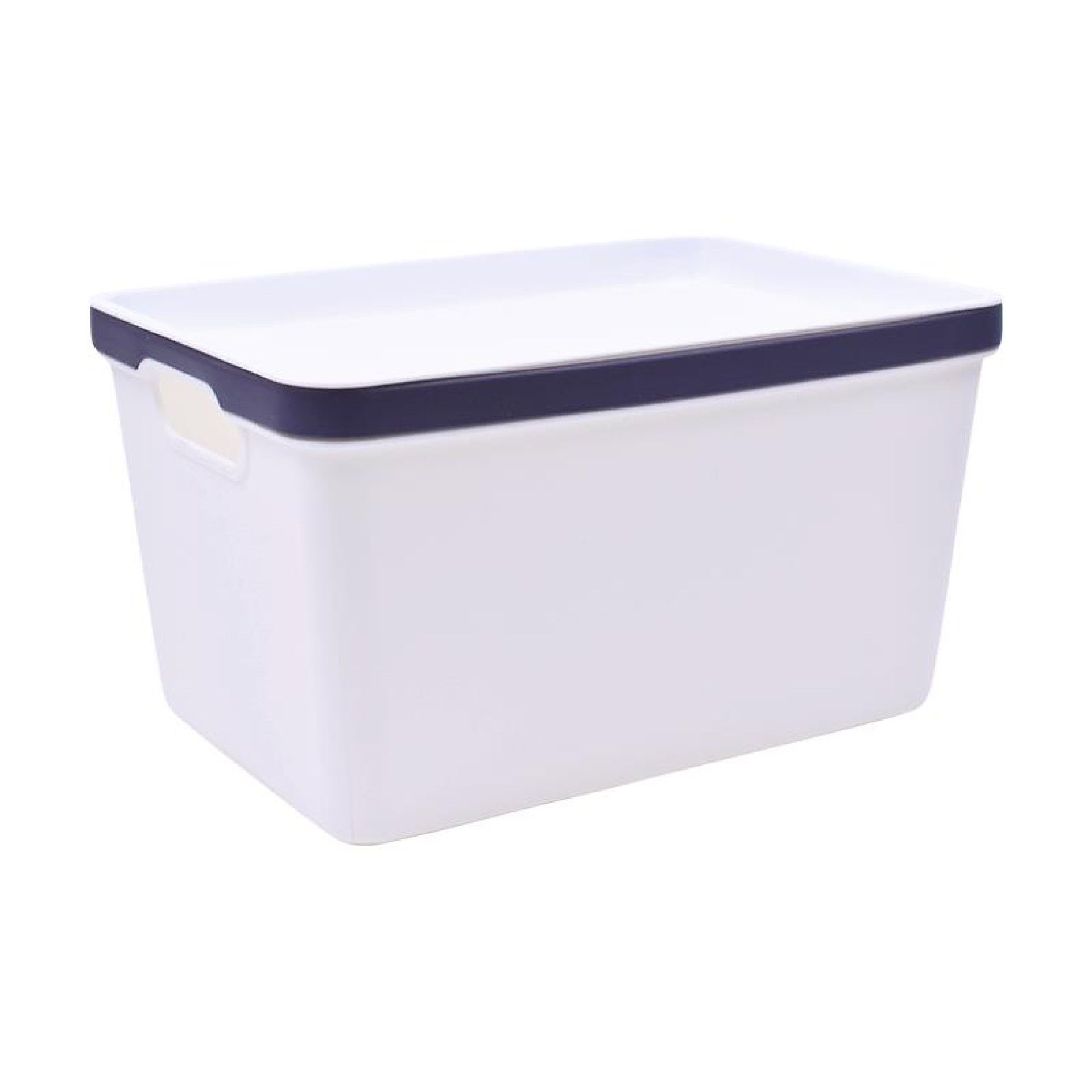 CESTO PLAST C/ASAS 2630-513-01 CX96 CESTO PLAST C/ASAS 2630-513-01 CX96