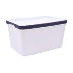 CESTO PLAST C/ASAS 2630-513-01 CX96