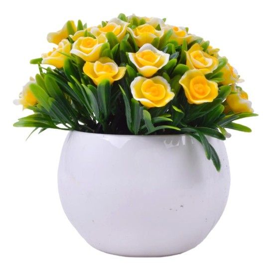 PLANTA C/ VASO 2440-022 CX144 PLANTA C/ VASO 2440-022 CX144