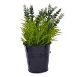PLANTA C/ VASO 2647-004-02 CX144