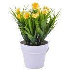 PLANTA VASO 10X20 2440-008 CX216