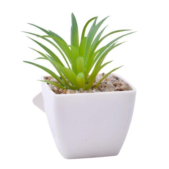 PLANTA C/VASO 6X6X5CM 2884-007-02 CX192 PLANTA C/VASO 6X6X5CM 2884-007-02 CX192