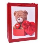 SACO 26x32x12CM 2419-505-01 CX240