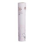RECARGAS ROLO TIRA PELOS 2UN 60FLS 24CM