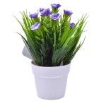 PLANTA VASO 10X20 2440-008 CX216