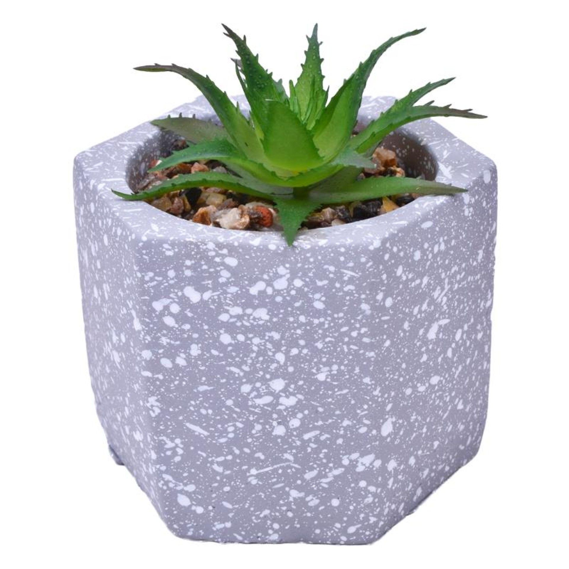 VASO DEC 2574-004 CX60 VASO DEC 2574-004 CX60