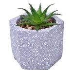 VASO DEC 2574-004 CX60