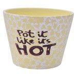 VASO 13X10 2675-041 CX48