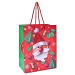 SACO PAPEL 23X18X10CM 2994-051 CX360