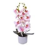 VASO C/FLOR 53 2439-117 CX12