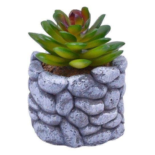 VASO C/CATO 6.5X5.5CM 2639-200 CX96 VASO C/CATO 6.5X5.5CM 2639-200 CX96