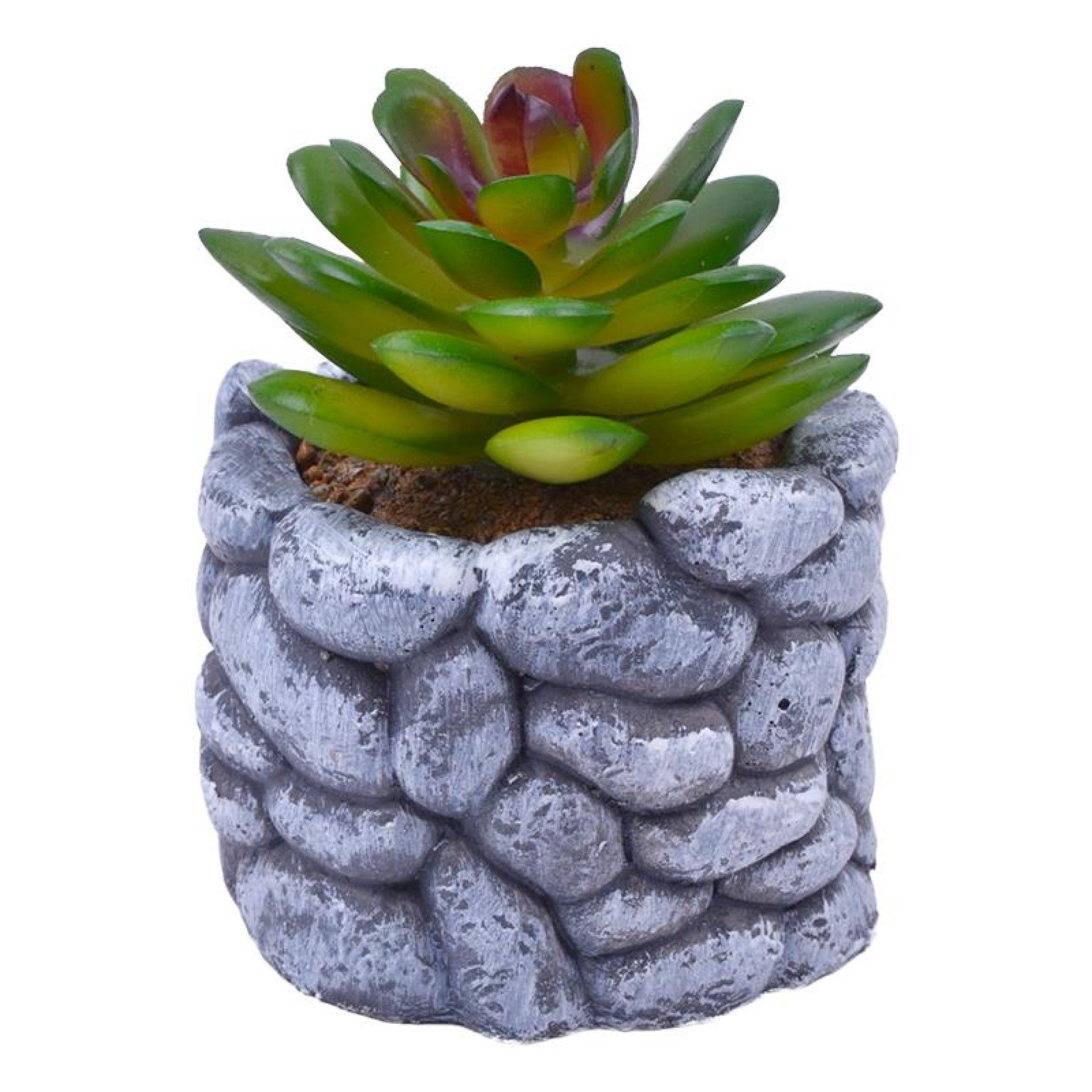 VASO C/CATO 6.5X5.5CM 2639-200 CX96 VASO C/CATO 6.5X5.5CM 2639-200 CX96
