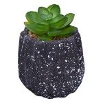 VASO DEC 2574-002 CX72