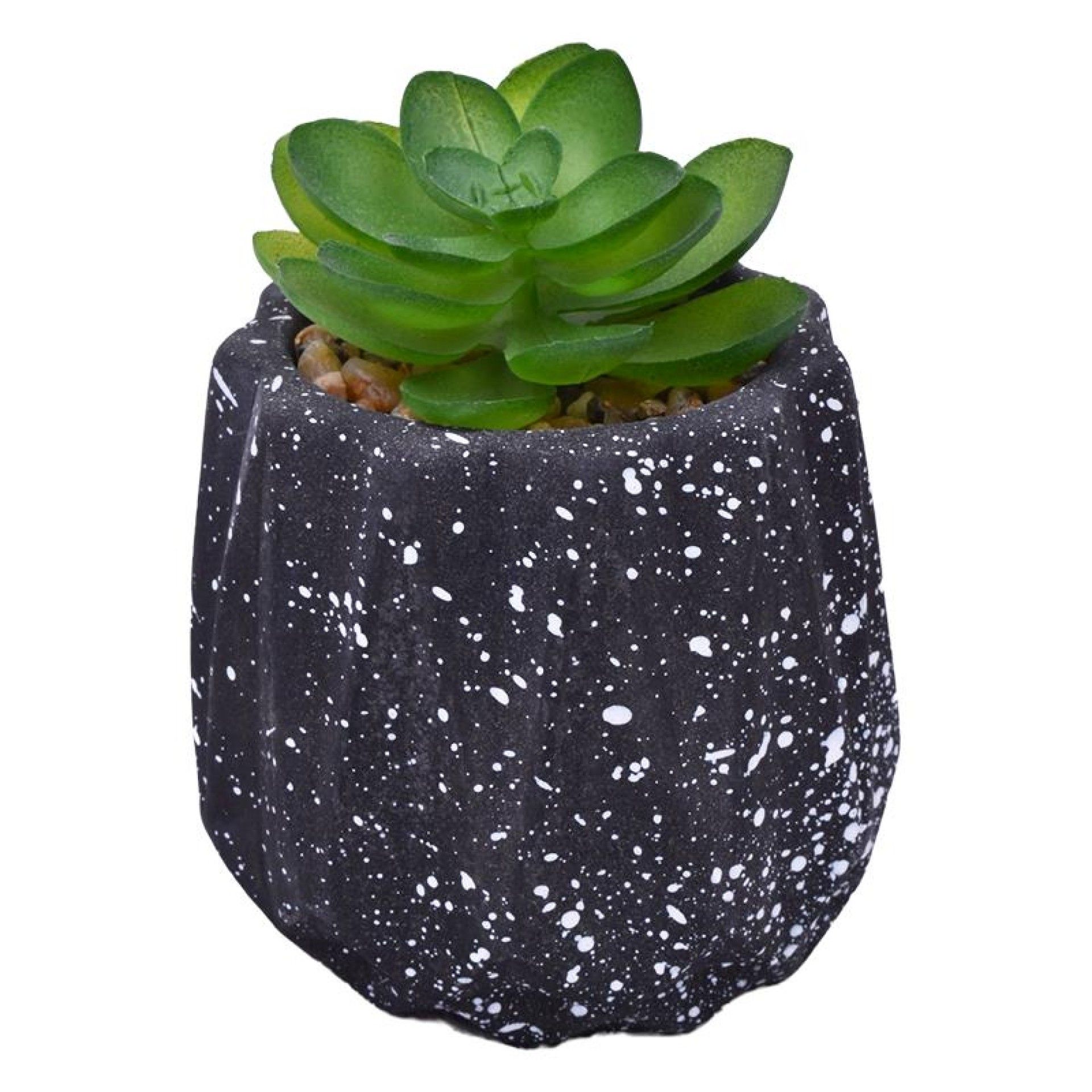 VASO DEC 2574-002 CX72 VASO DEC 2574-002 CX72