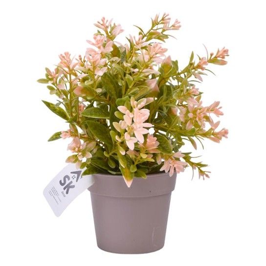 PLANTA C/ VASO 2440-015 CX144 PLANTA C/ VASO 2440-015 CX144