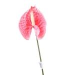 ANTURIO ARTIFICIAL 10236