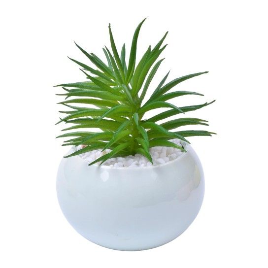 VASO C/CACTO 2070-42-01 CX48 VASO C/CACTO 2070-42-01 CX48