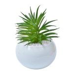 VASO C/CACTO 2070-42-01 CX48