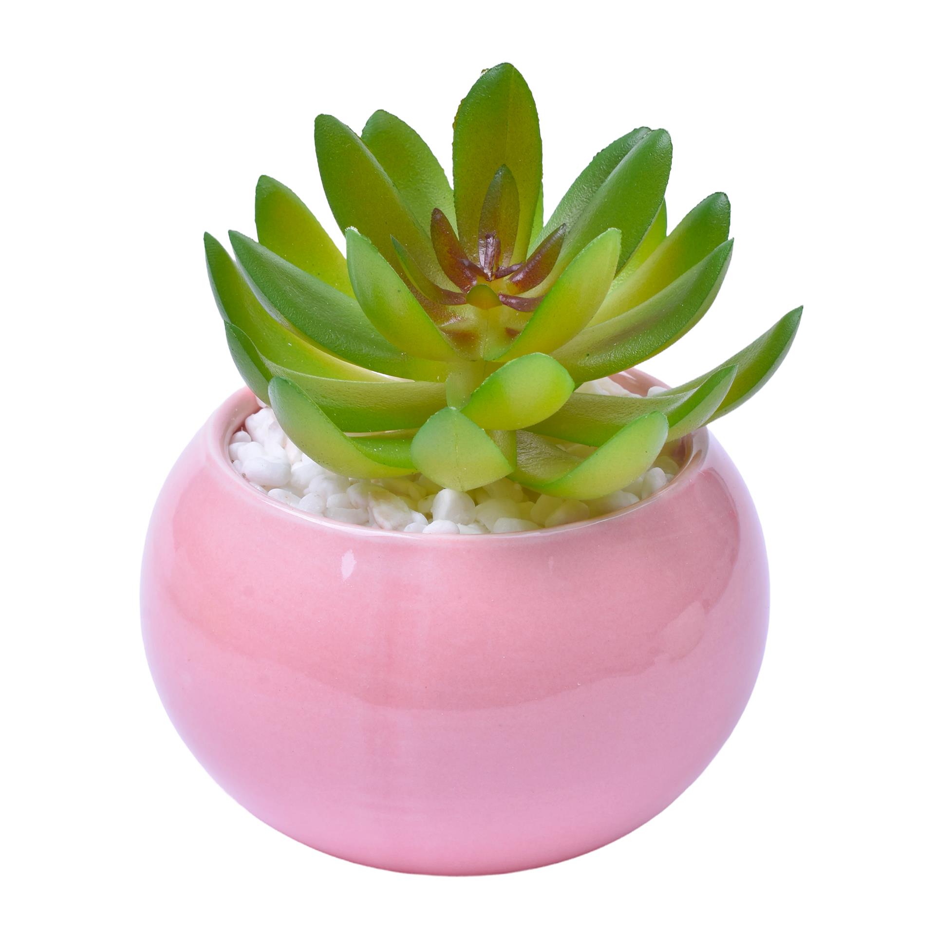 VASO C/CACTO 2070-42-01 CX48 VASO C/CACTO 2070-42-01 CX48
