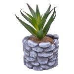 VASO C/CATO 6.5X5.5CM 2639-200 CX96