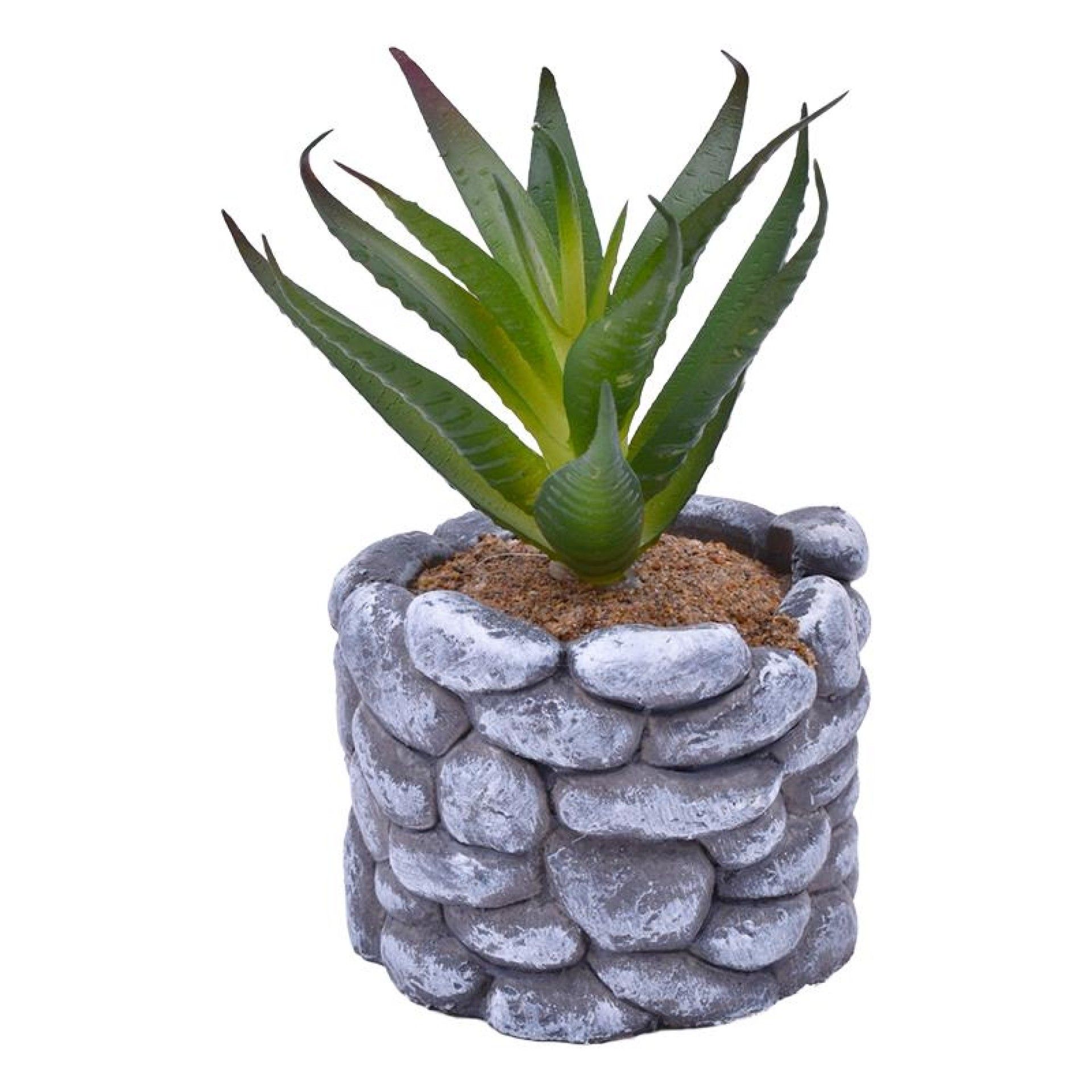 VASO C/CATO 6.5X5.5CM 2639-200 CX96 VASO C/CATO 6.5X5.5CM 2639-200 CX96