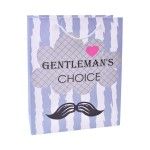 SACO PRESENTE 23X18X10 2317-052 CX480