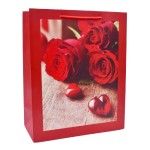 SACO 26x32x12CM 2419-505-01 CX240
