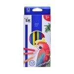 LAPIS DE COR 12UN 1698-100-12