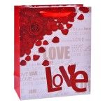 SACO 23X18X10CM 3025-001-01 CX360