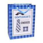 SACO PRESENTE 23X18X10 2317-053CX400