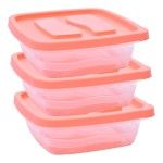 CAIXA PLT SET 3 QUAD 0,99L 0947-10 CX36