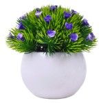 PLANTA C/ VASO 2440-021 CX144