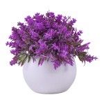 PLANTA C/ VASO 2440-012 CX144