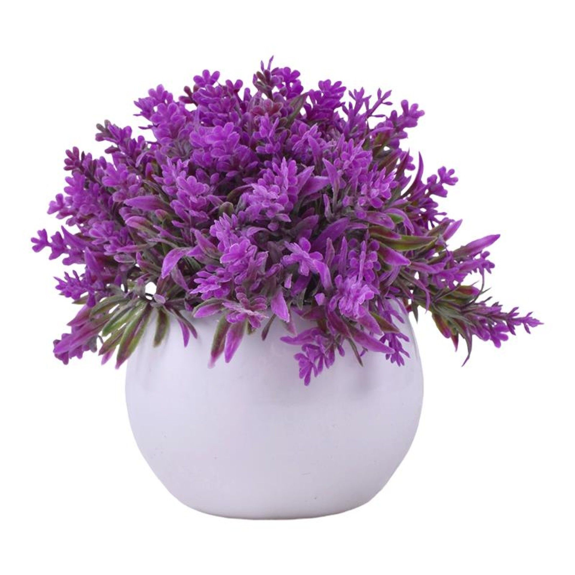 PLANTA C/ VASO 2440-012 CX144