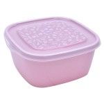 CAIXA PLASTICO BASIC QUAD. 2,5 L 115144M