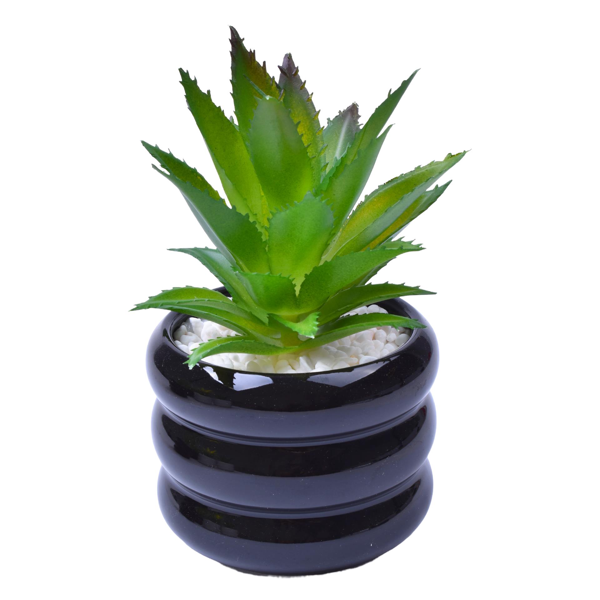 VASO C/CACTO 8,5X7 2070-43 CX48 VASO C/CACTO 8,5X7 2070-43 CX48